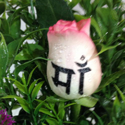 Birthday Wishes on Roses