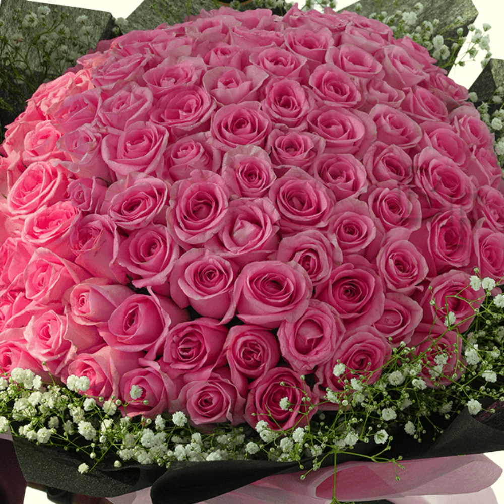 100 Pink Roses & Baby's Breath Bouquet