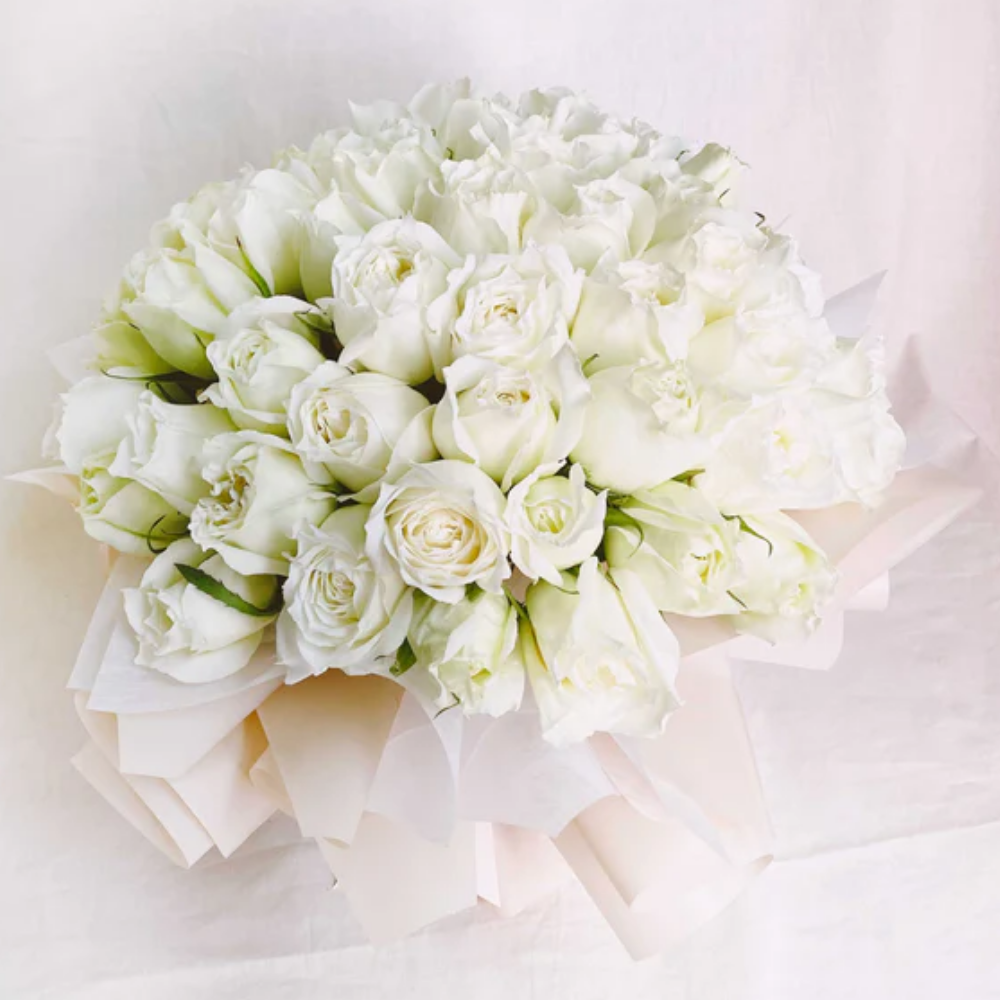 50 White Roses in Classic White Packing