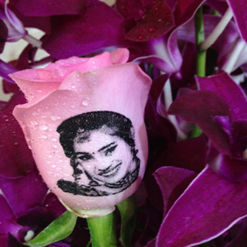 Birthday Wishes on Roses