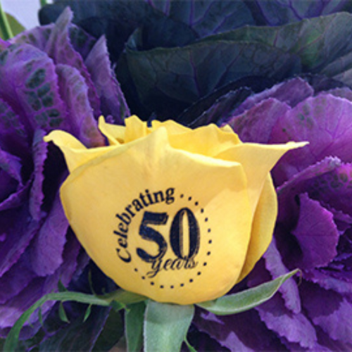 Birthday Wishes on Roses