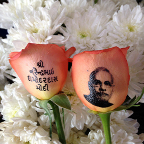 Birthday Wishes on Roses