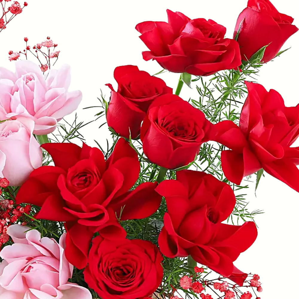 16 Red & Pink Roses for Love