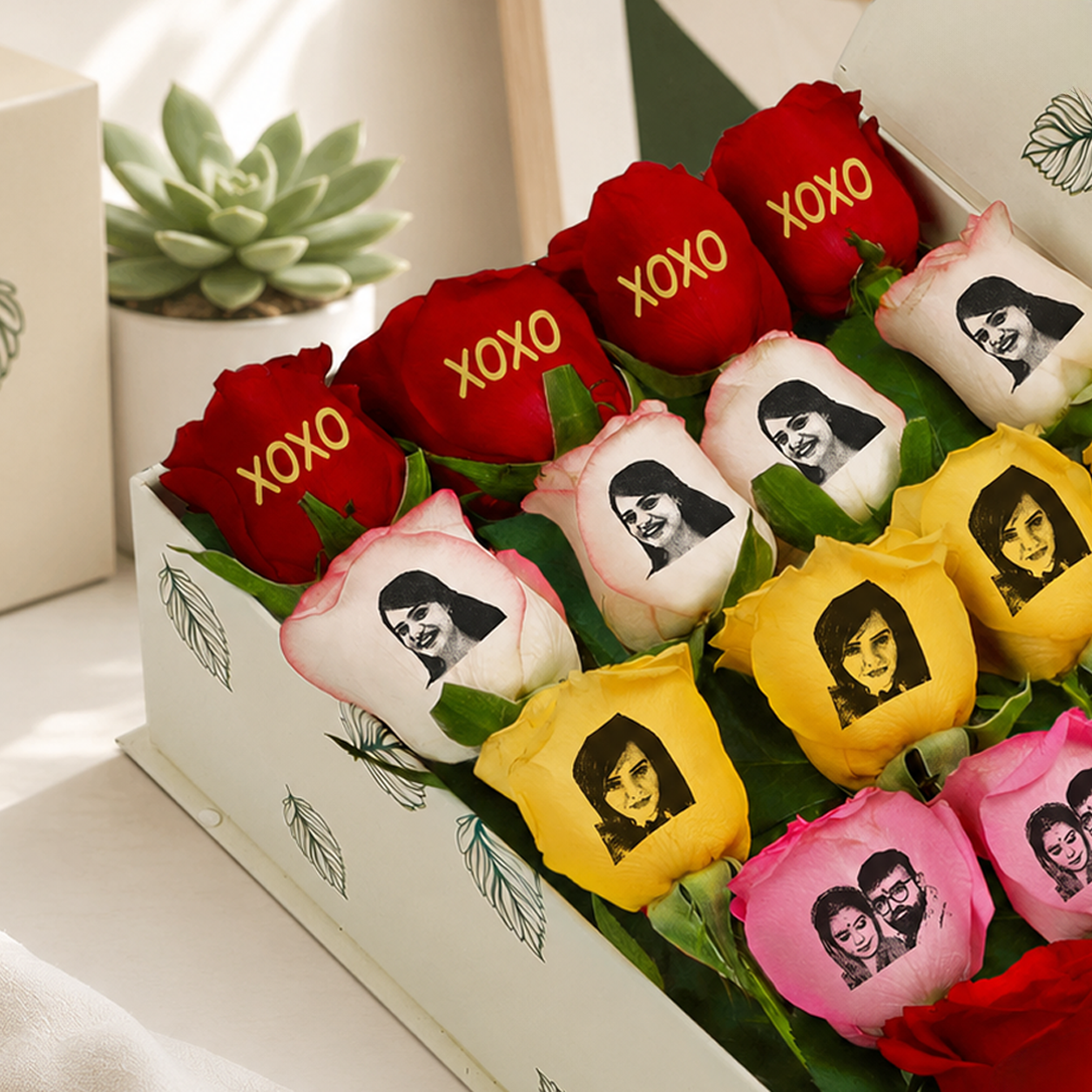 Love's Embrace Rose Collection