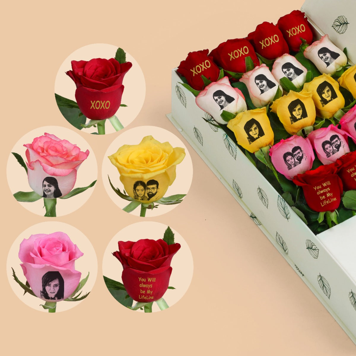 Love's Embrace Rose Collection