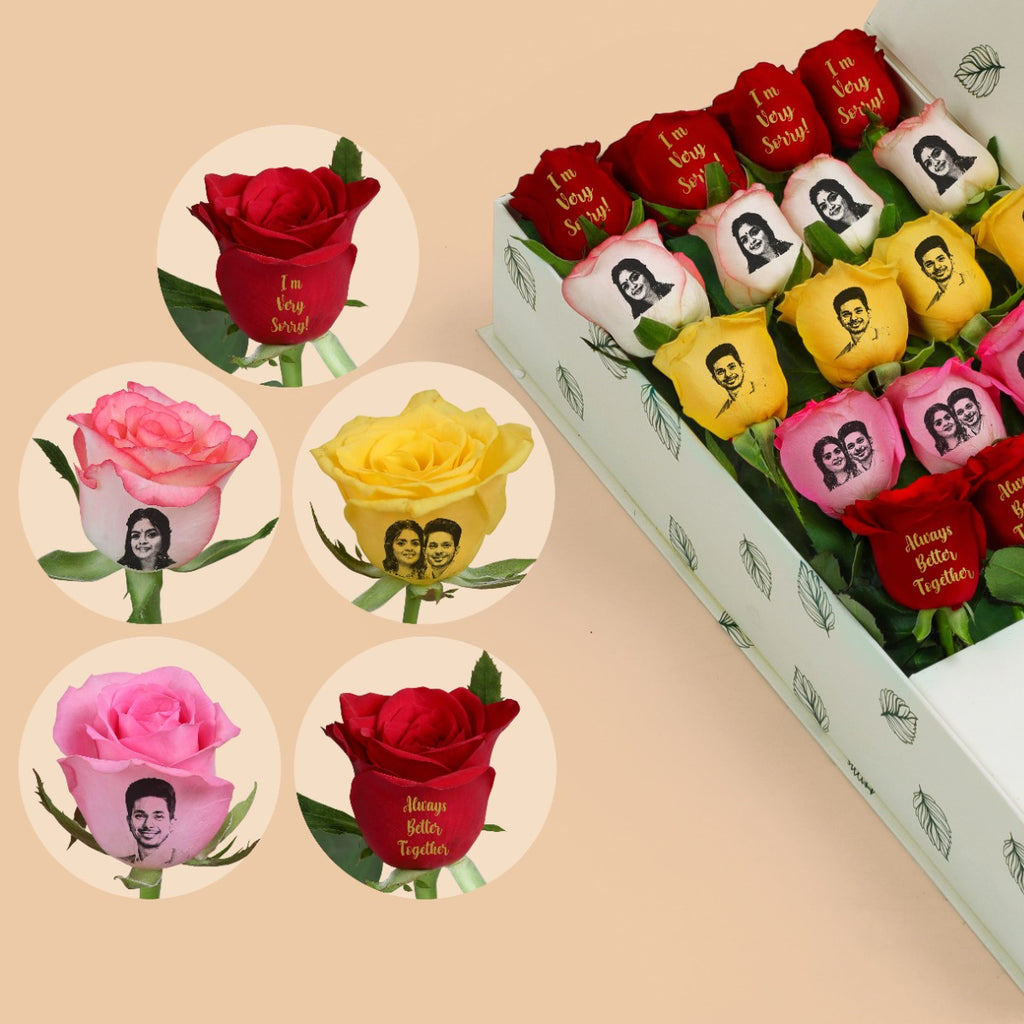 Remorseful Rose Collection