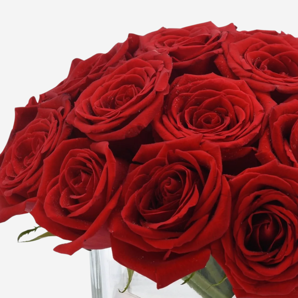 20 Red Roses in Elegant Glass Vase