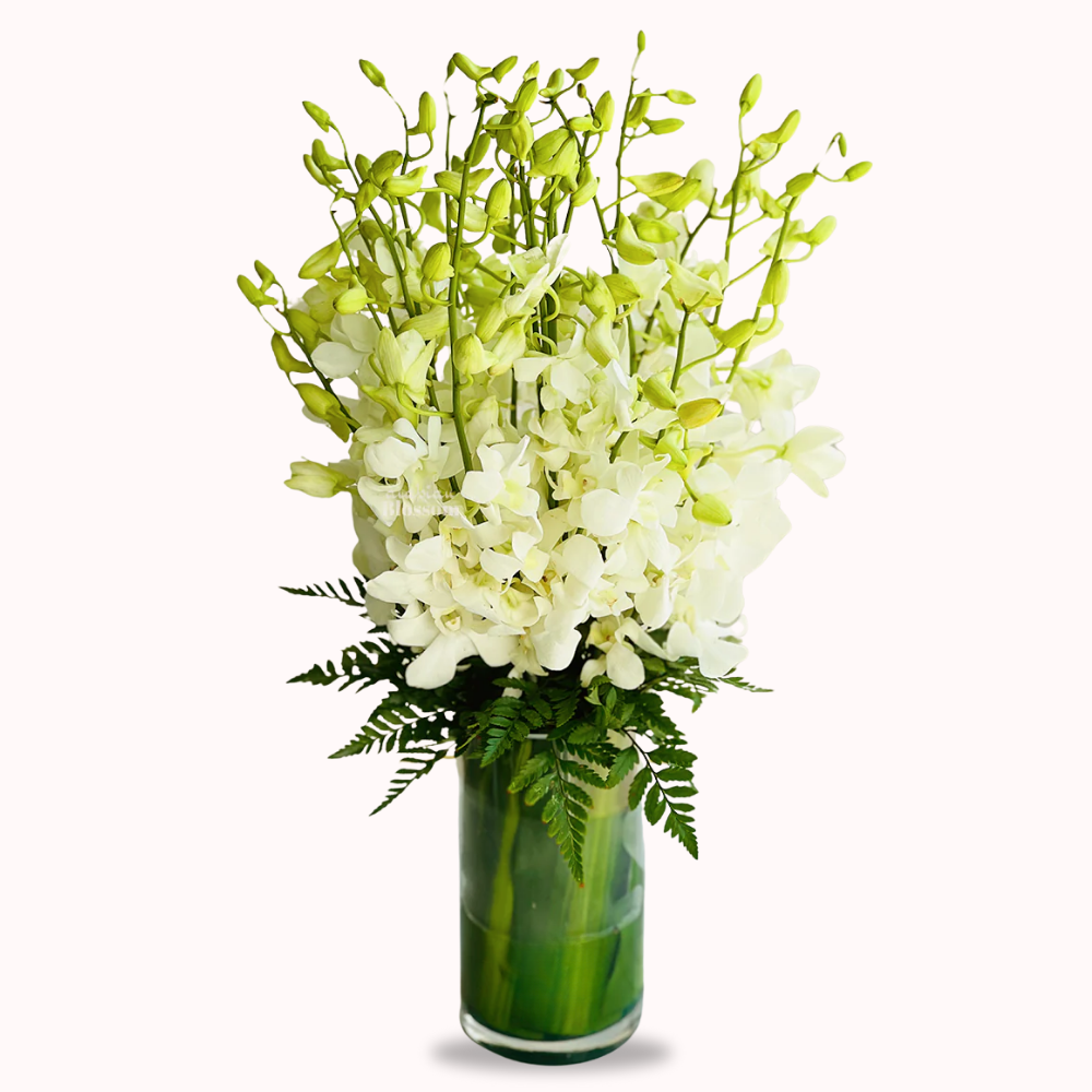 20 White Orchids in Glass Vase