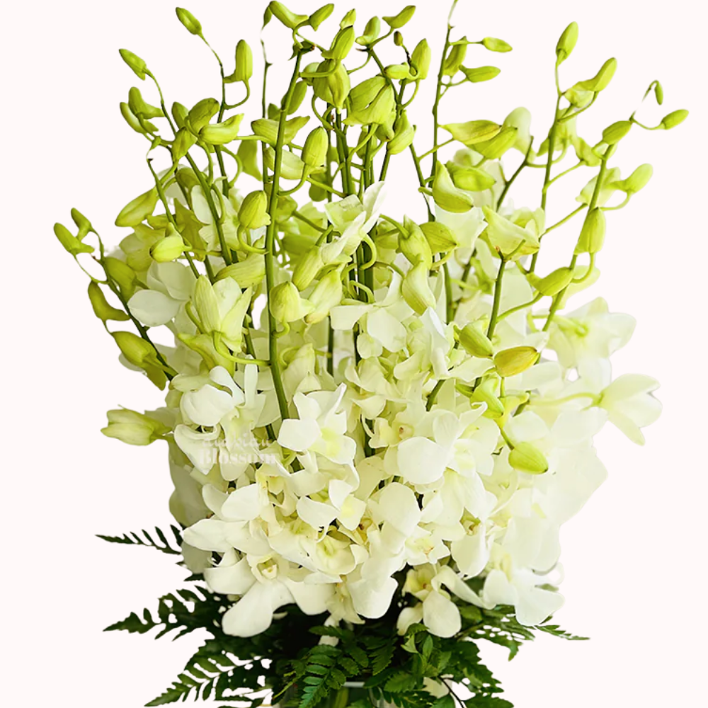 20 White Orchids in Glass Vase