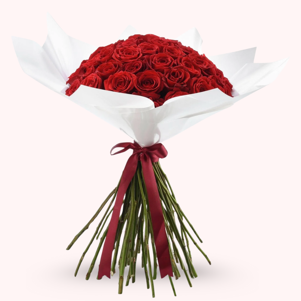24 Premium Fresh Red Roses