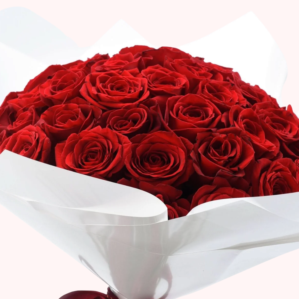 24 Premium Fresh Red Roses