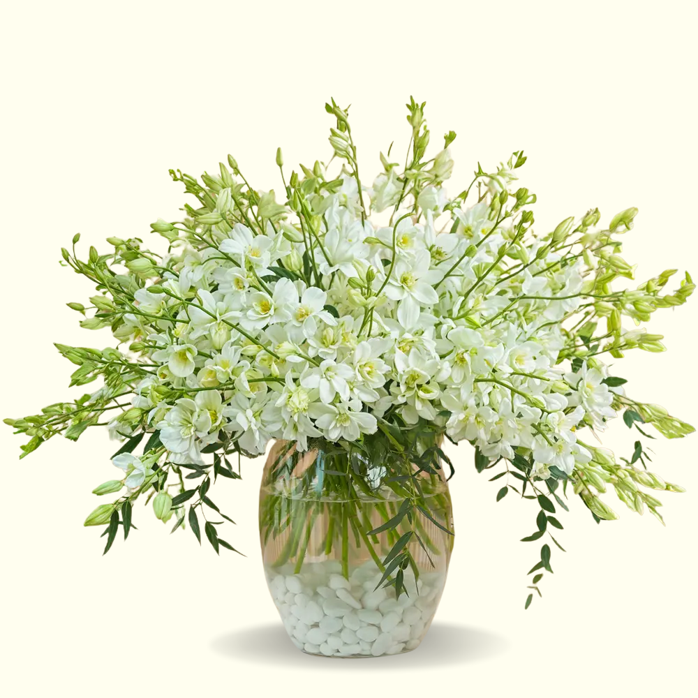40-Stem White Orchid Bouquet in Glass Vase