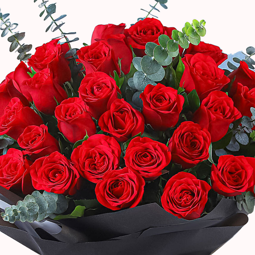40 Red Roses in Elegant Wrap