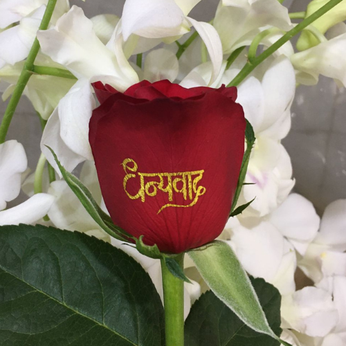 Birthday Wishes on Roses