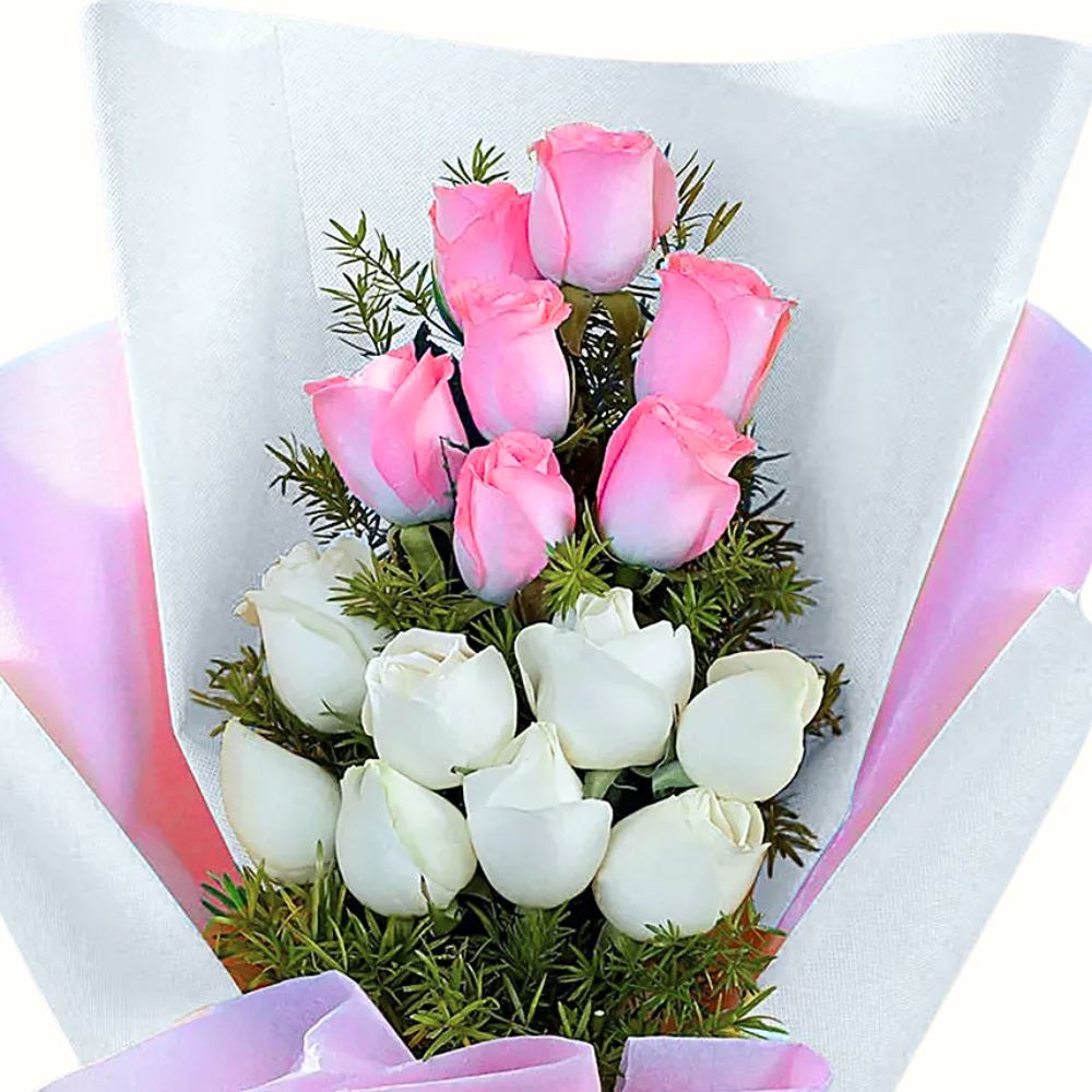 Soft Blooming 15 Pink & White Roses
