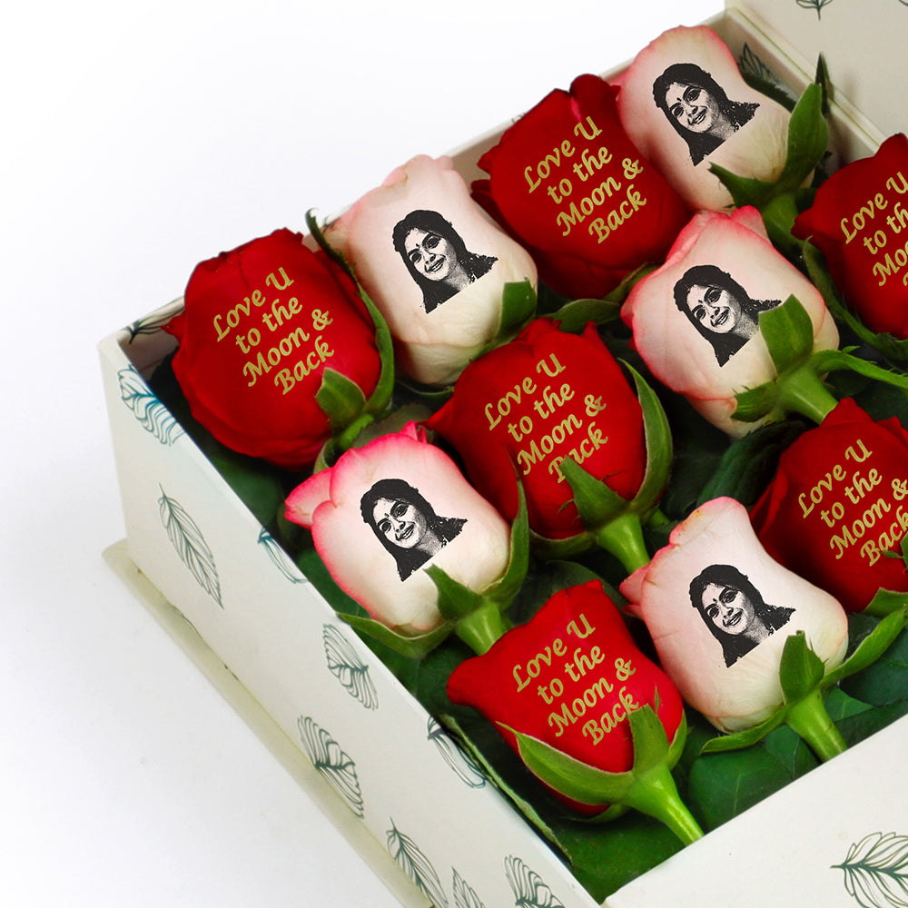 Serene Apology Arrangement