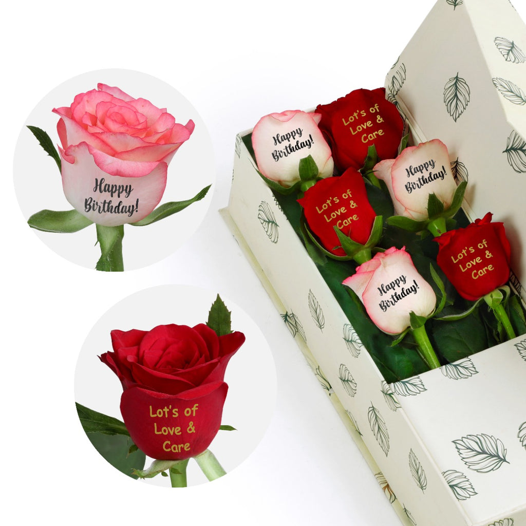 Radiant Roses Surprise