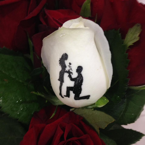 Birthday Wishes on Roses