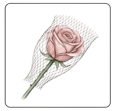 Remove Protective Net