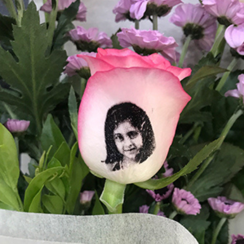 Birthday Wishes on Roses