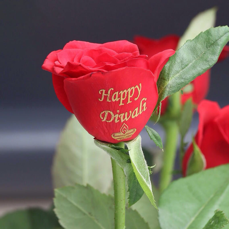 Personalized fresh roses for gifting