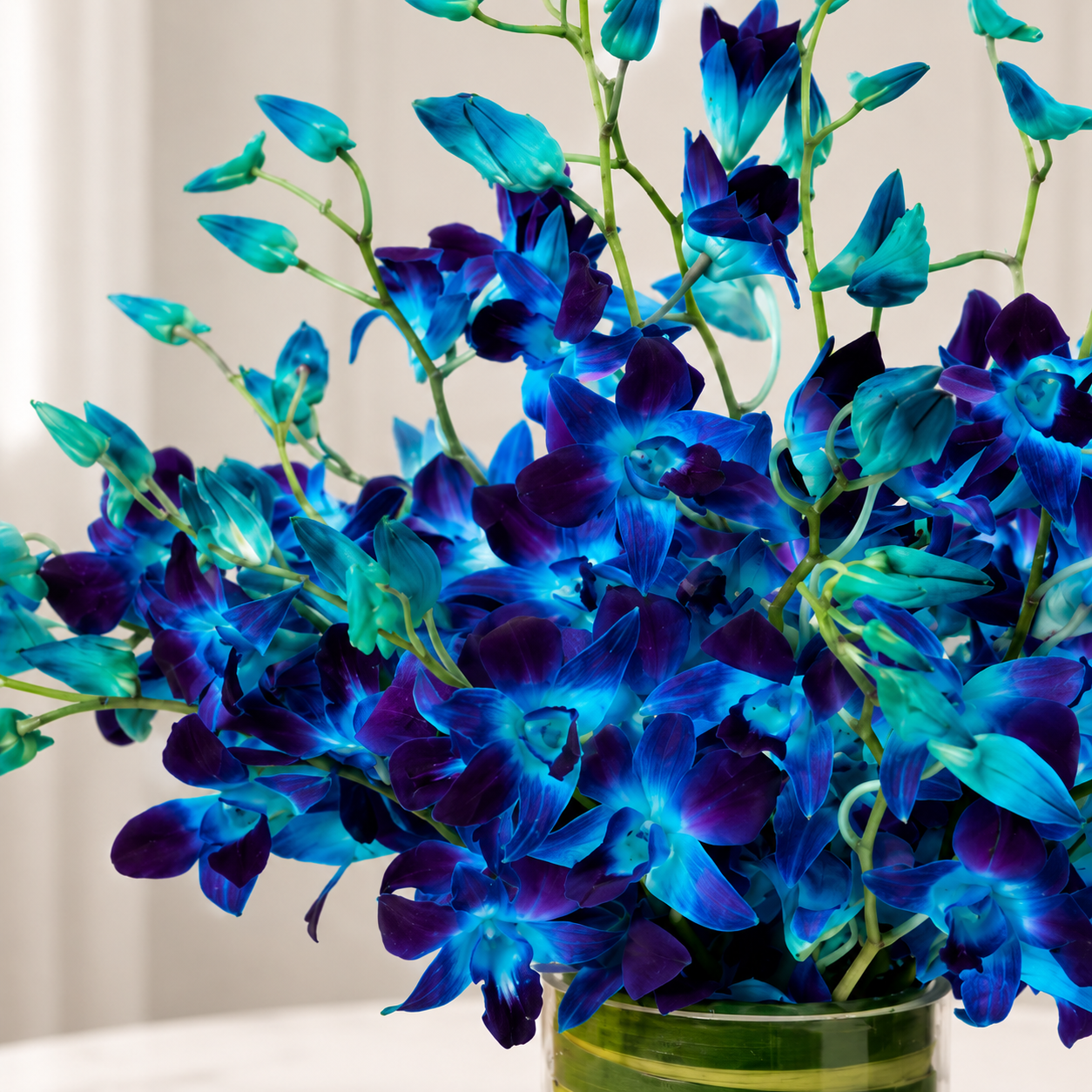Exquisite Blue Orchid Bouquet - 10 Stems