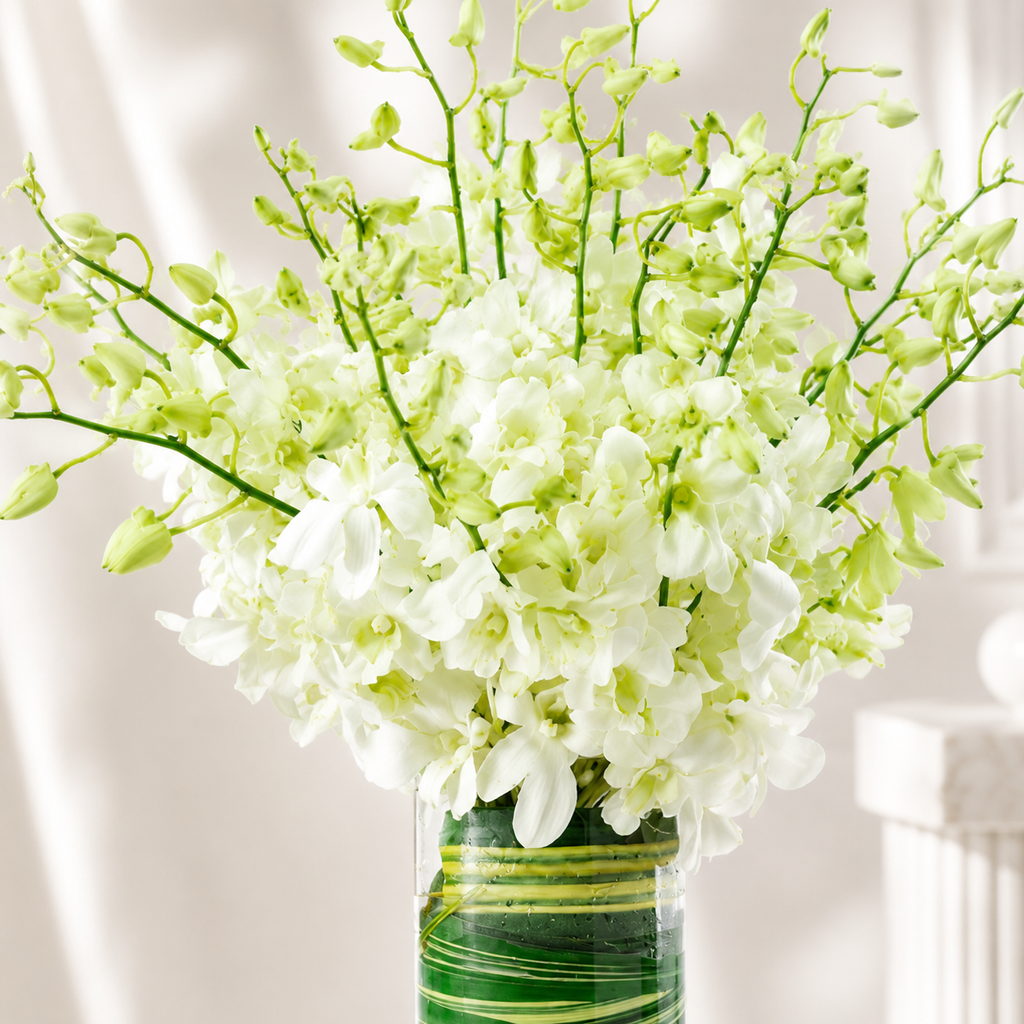 White Dendrobium Orchid Bouquet in Glass Vase - 10 Stems