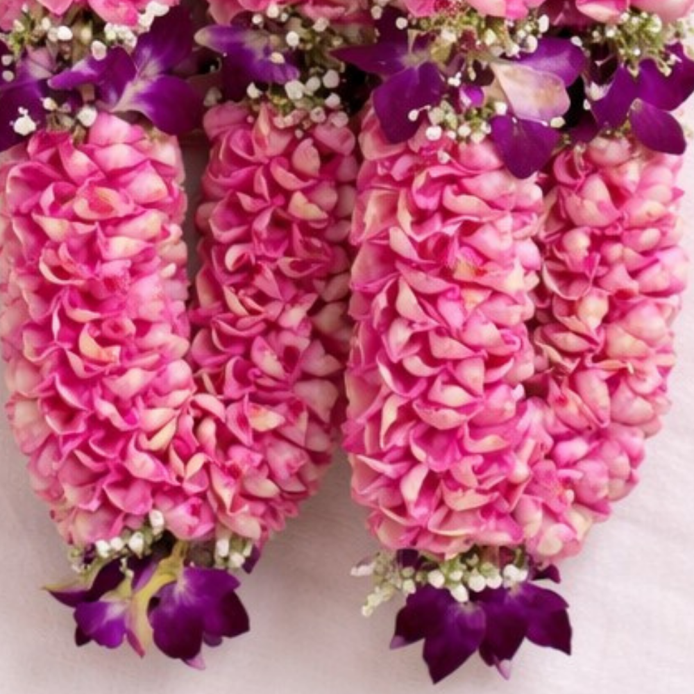 Pink Rose Petals garland with purple orchids