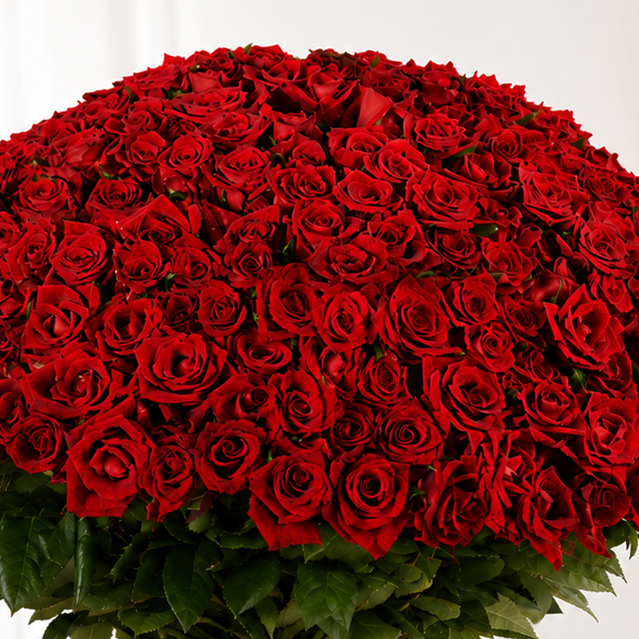 250 Red Roses Bouquet – Luxurious Gift for Loved Ones