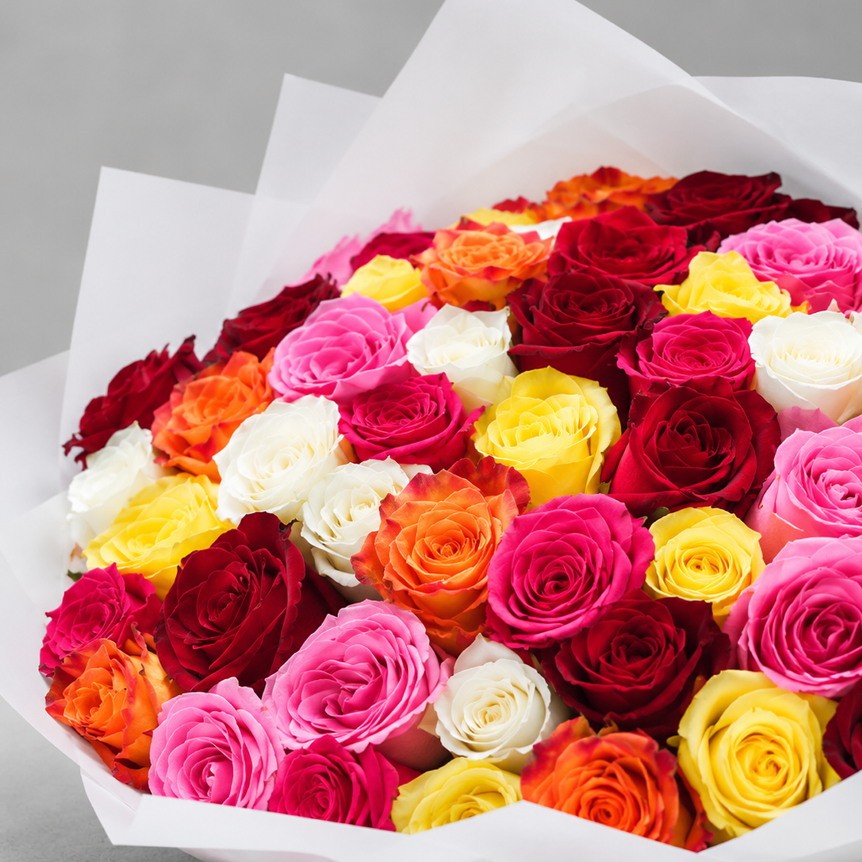 Dreamy Gradient Roses - 51 Stems