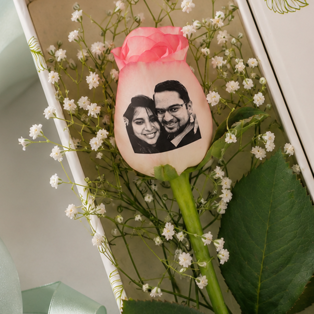 Photo Rose