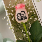 Photo Rose