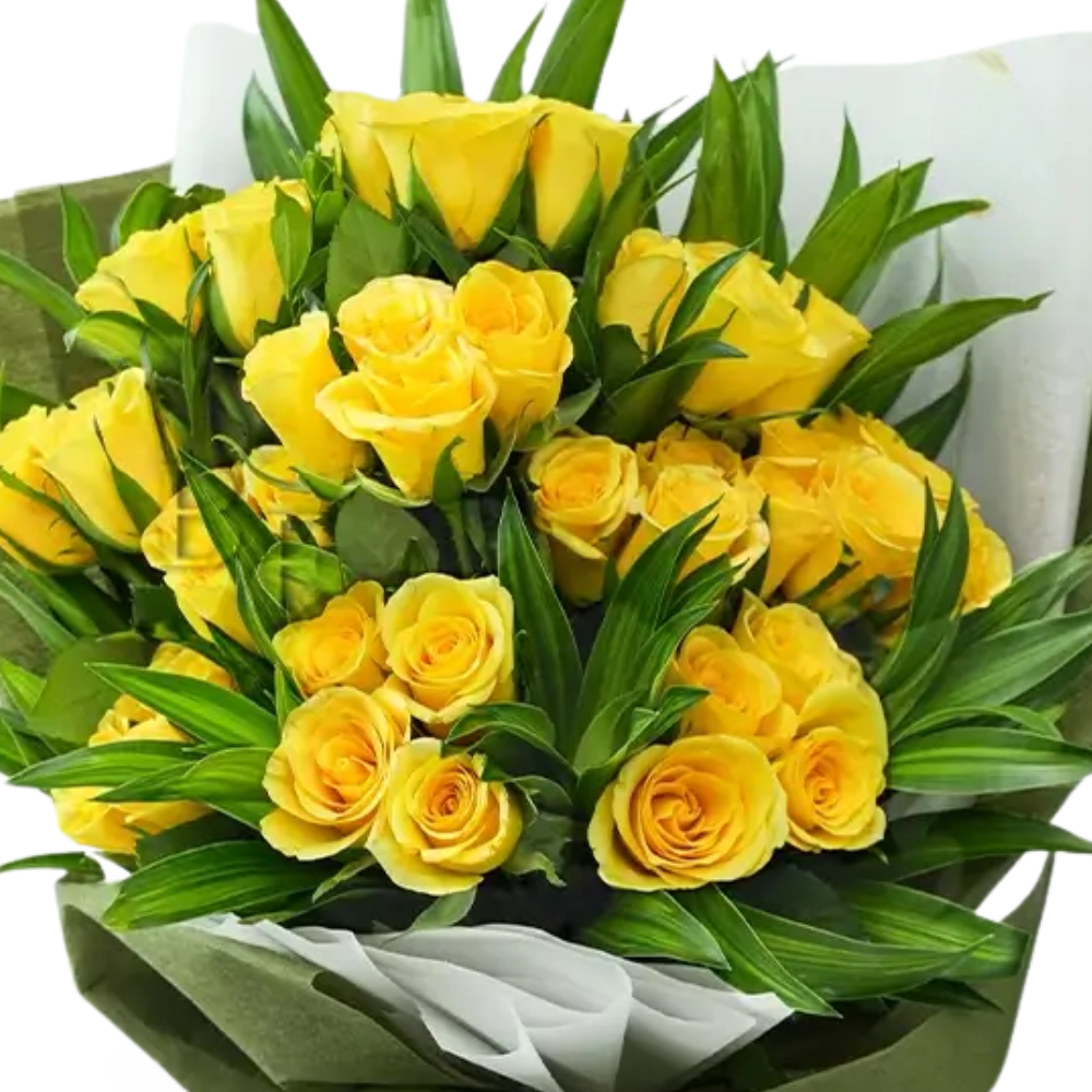 Affectionate 40 Yellow Roses with Green Fillers