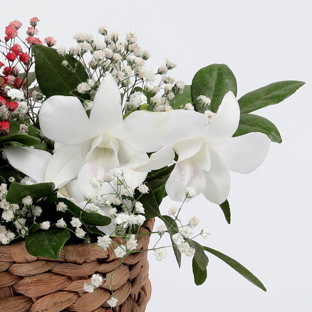 Surprising Emotions Bouquet