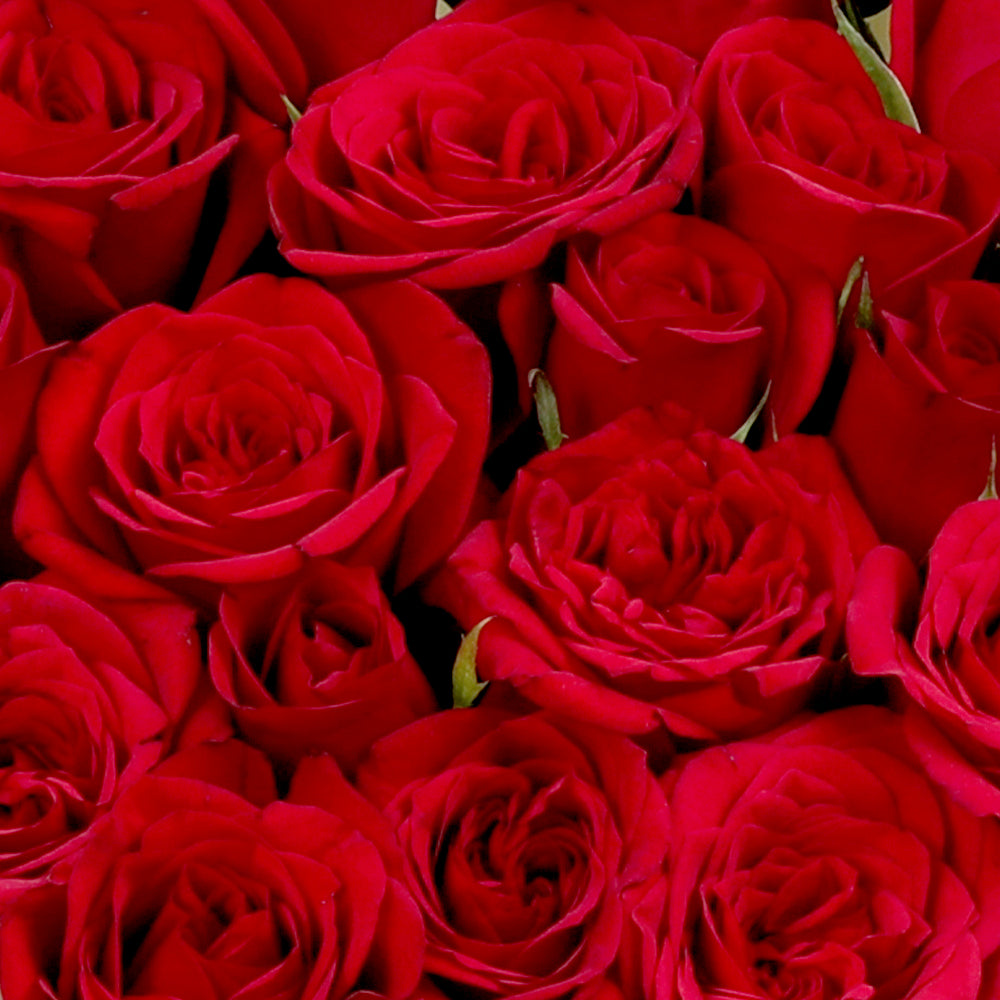 Enchanted Heart Bouquet