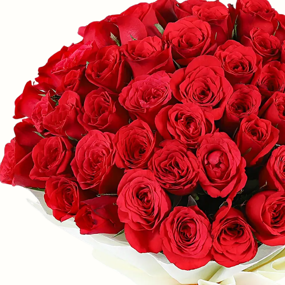 100 Blooming Red Roses Wrapped in White