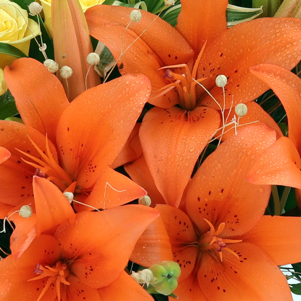 Sunny Delight Bouquet