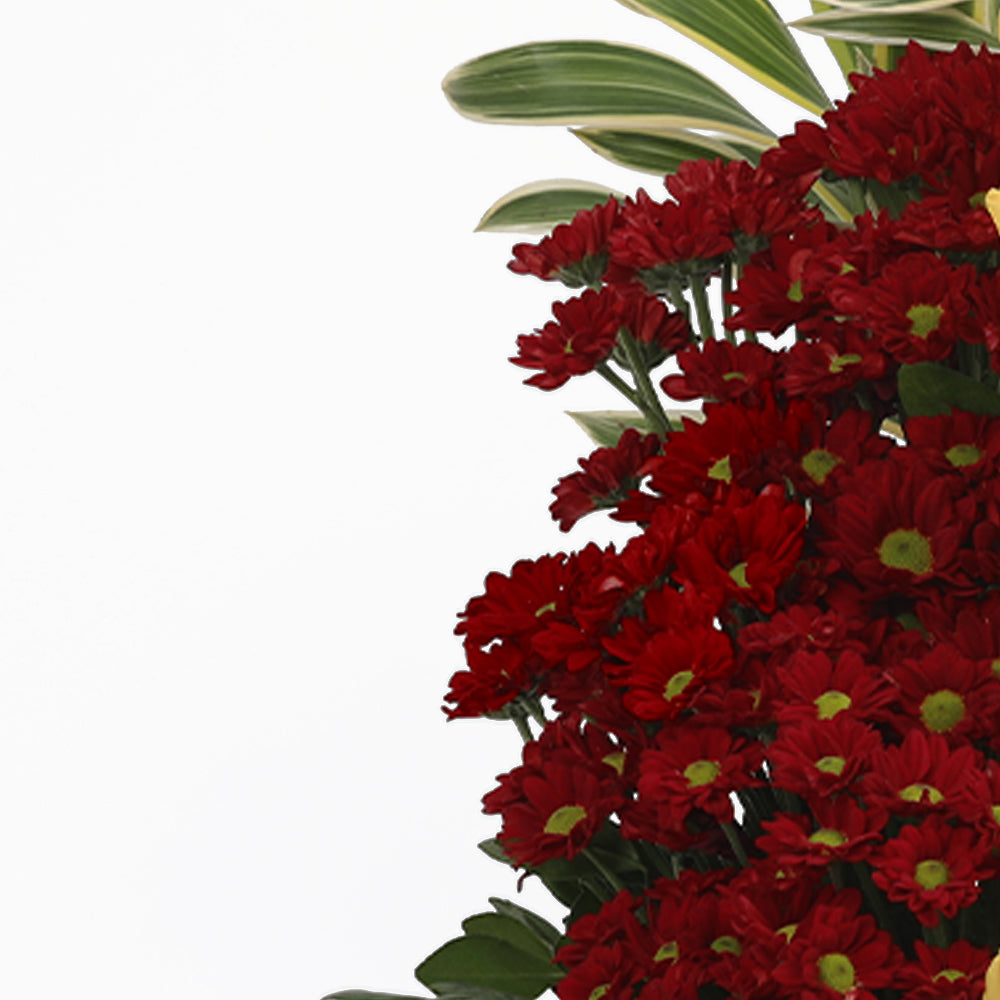 Vibrant Beauty Arrangement