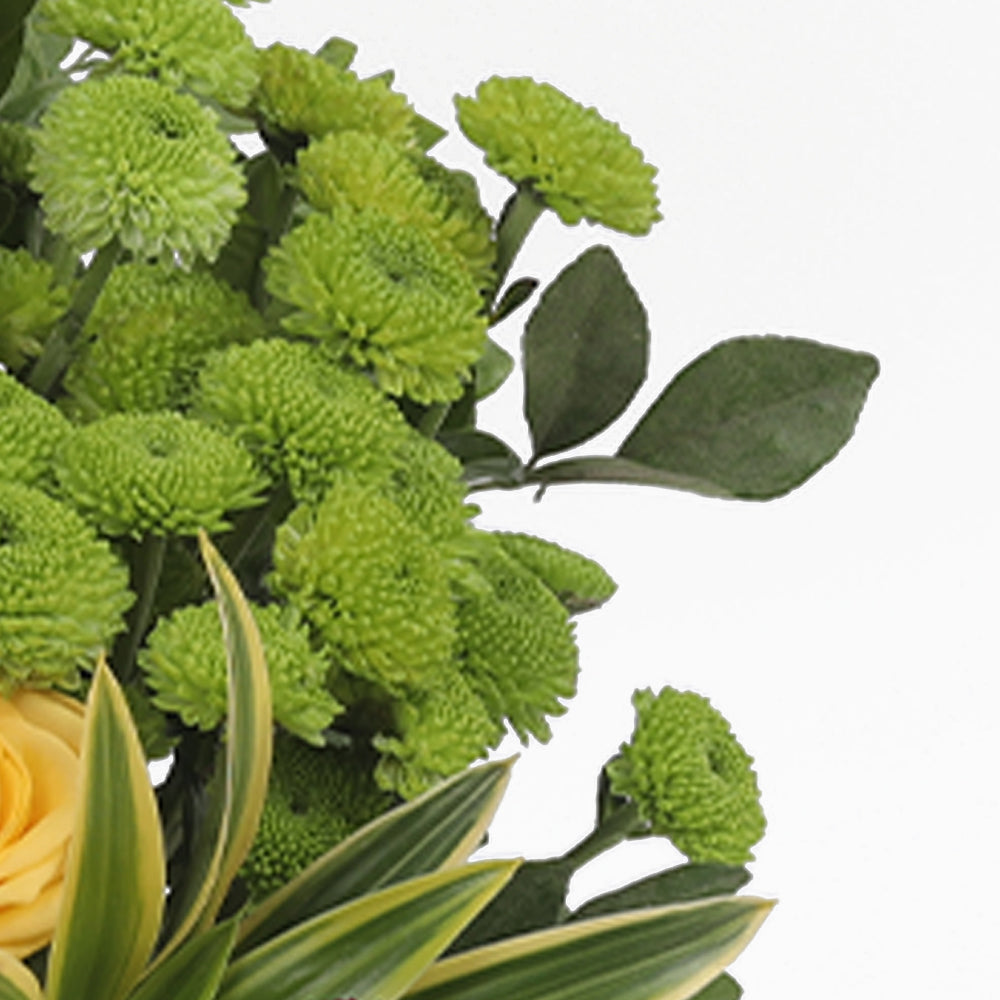 Vibrant Beauty Arrangement