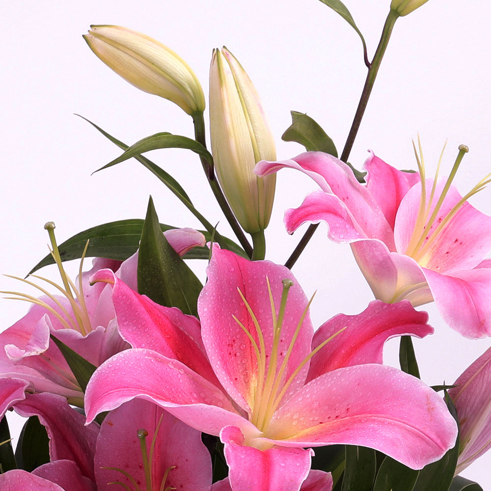 Pink lilies bouquet