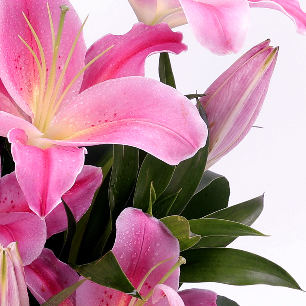 Pink lilies bouquet