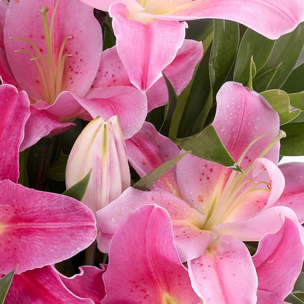 Pink lilies bouquet