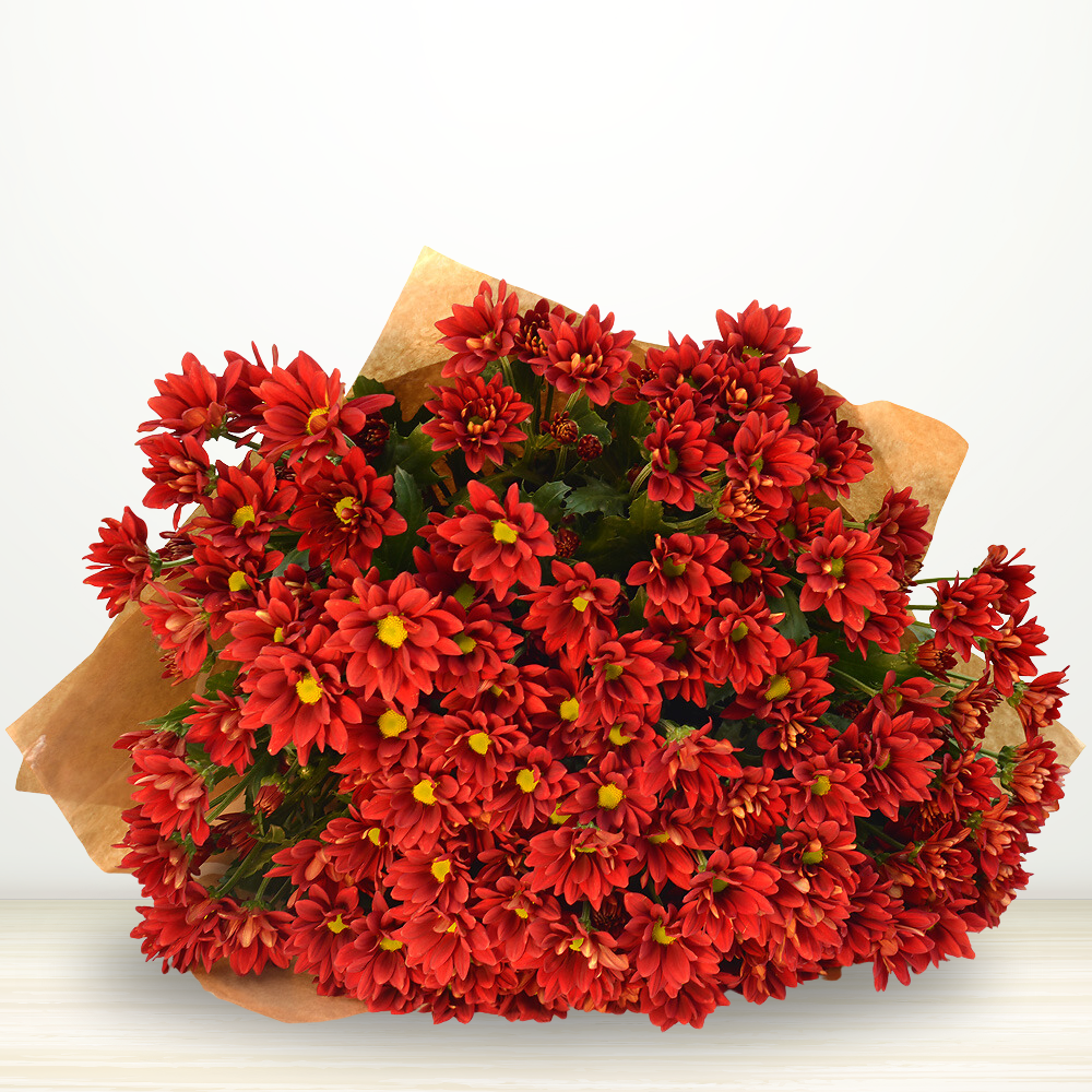 Chrysanthemum
