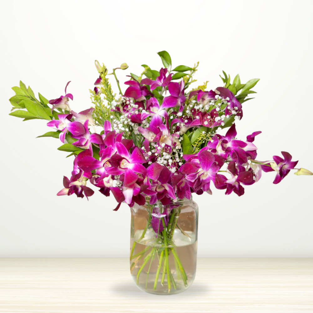 Orchid