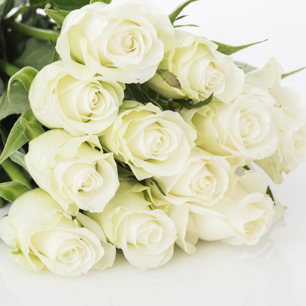 Roses