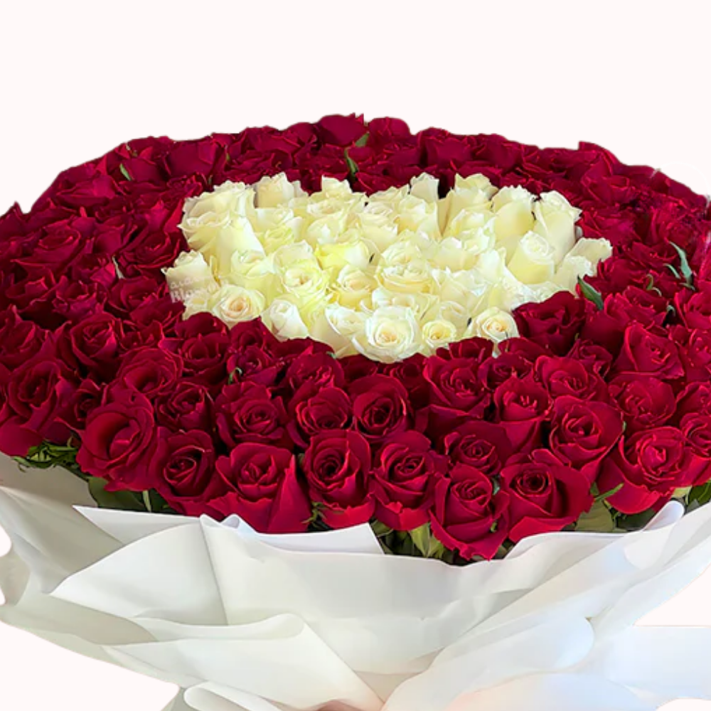 Circle of Romance: 100 Red & 100 White Roses