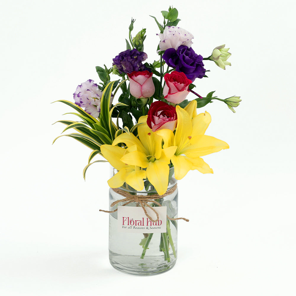 Classic Subscription