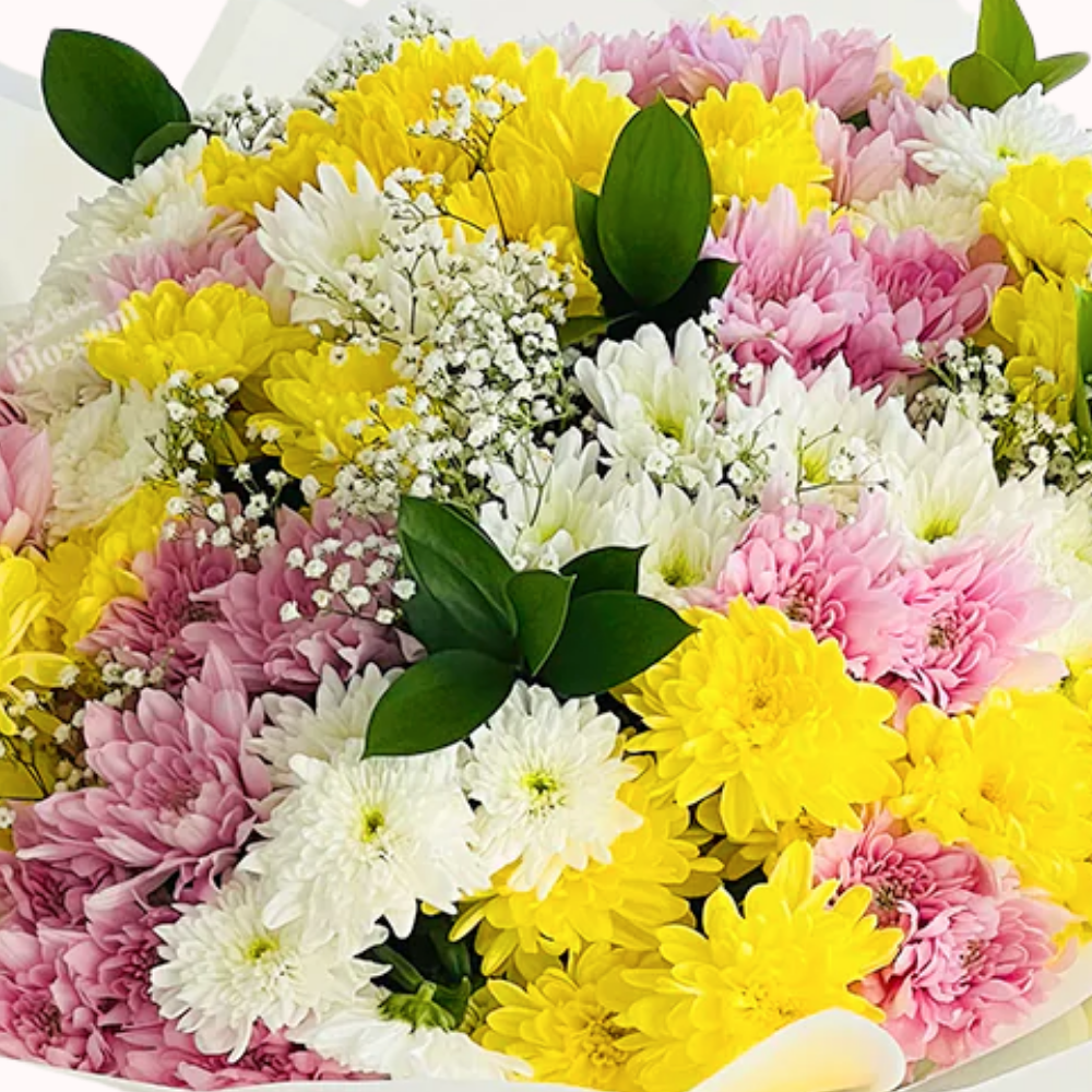 Colorful Chrysanthemum Bouquet