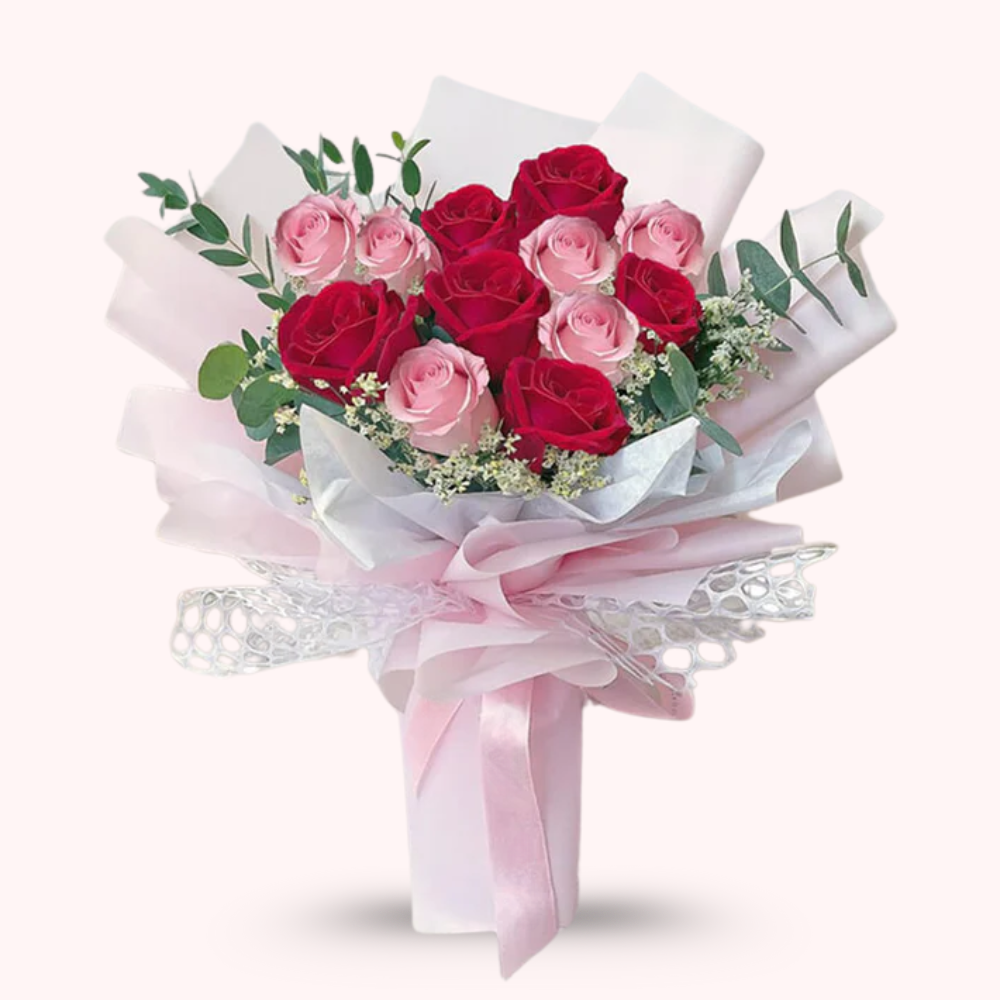 12 Dark Pink & Baby Pink Roses in Elegant Packaging