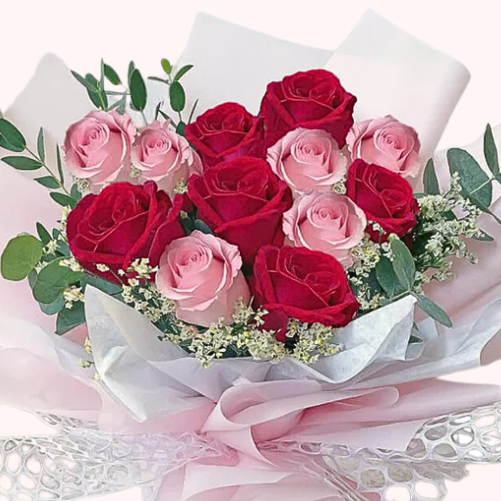 12 Dark Pink & Baby Pink Roses in Elegant Packaging